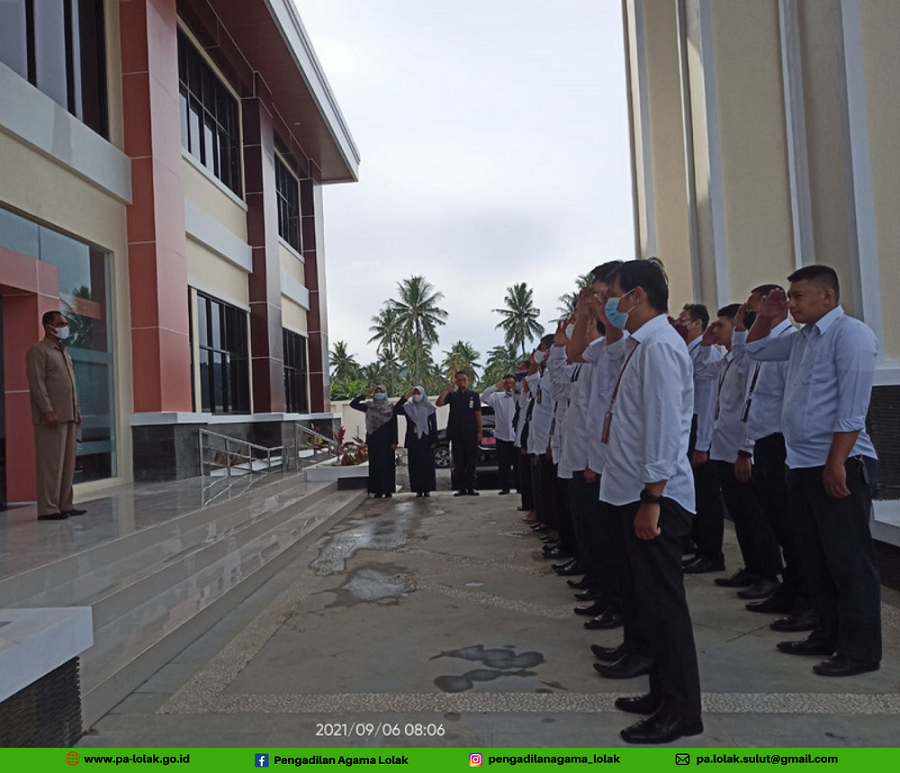 Apel web